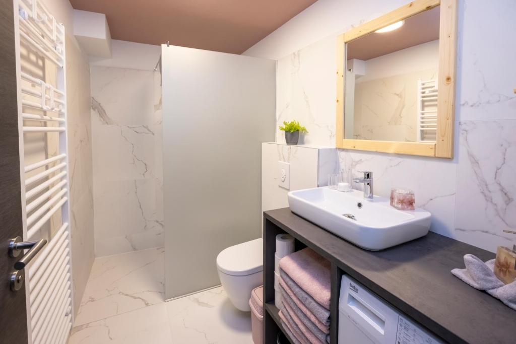 Koupelna v ubytování Pr `Agotnik Apartments & Rooms Bohinj