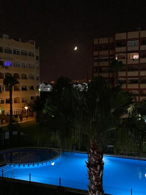 Torremar III, Torrevieja – Updated 2023 Prices