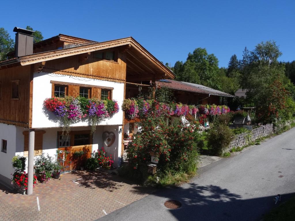 The building in which Az apartmant is located