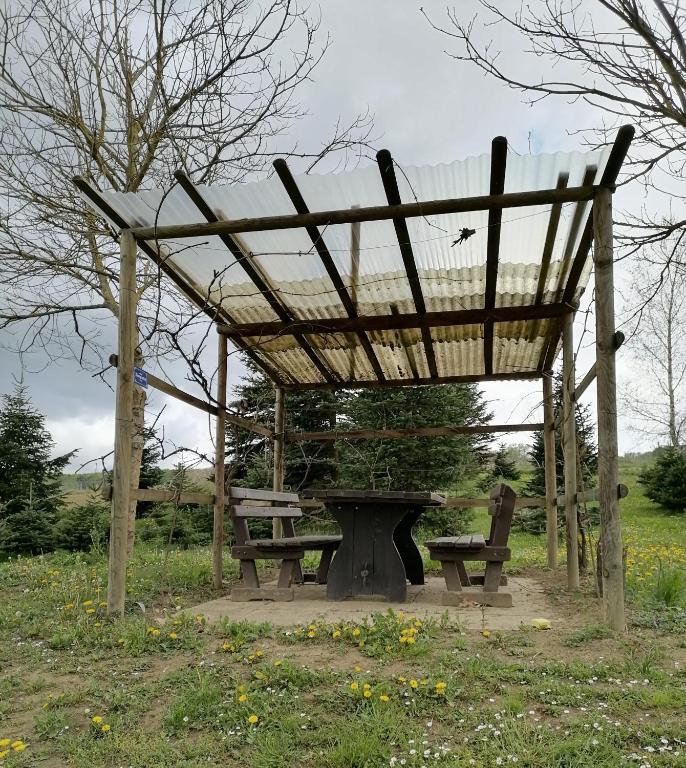 Zahrada ubytování Schlaffass und Hütte mit Teich