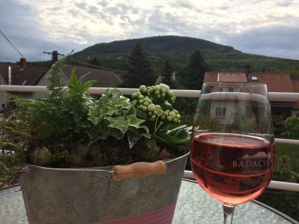 a glass of wine sitting next to a potted plant at Bella Badacsony Apartmanház in Badacsonytomaj