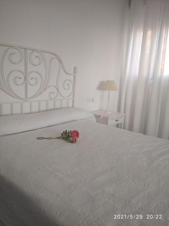 różowa róża na białym łóżku z kwiatem w obiekcie Apartamentos Sanlúcar Beach 2 y 3 w mieście Sanlúcar de Barrameda