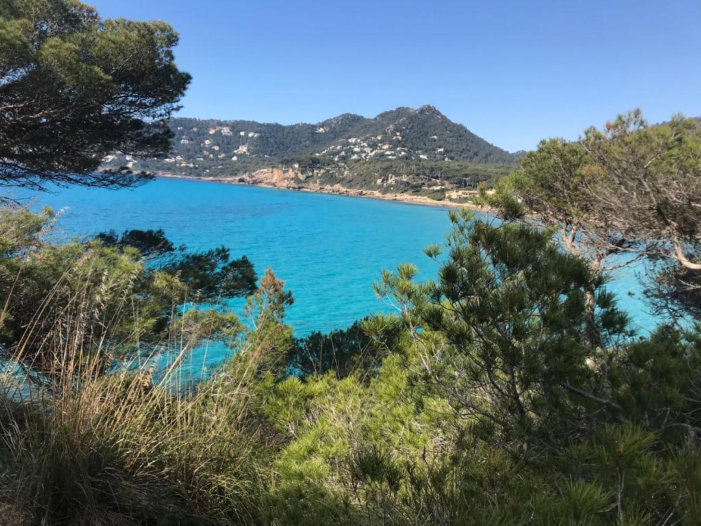 Kép Super cosy! Apartamento en Canyamel "Cala Agulla" szállásáról Canyamelben a galériában