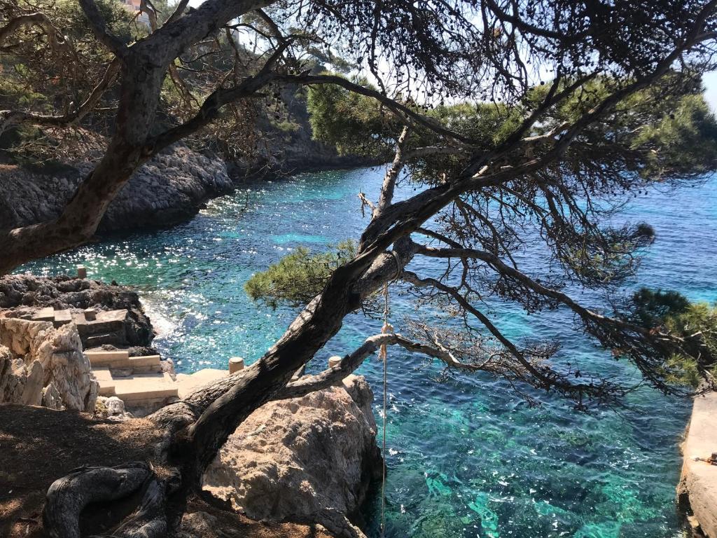 Kép Super cosy! Apartamento en Canyamel "Cala Agulla" szállásáról Canyamelben a galériában