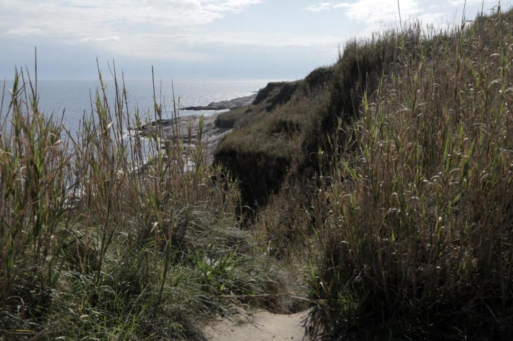 a sandy beach with tall grass and the ocean at Room in Susak with air conditioning, Wi-Fi (3865-3) in Susak