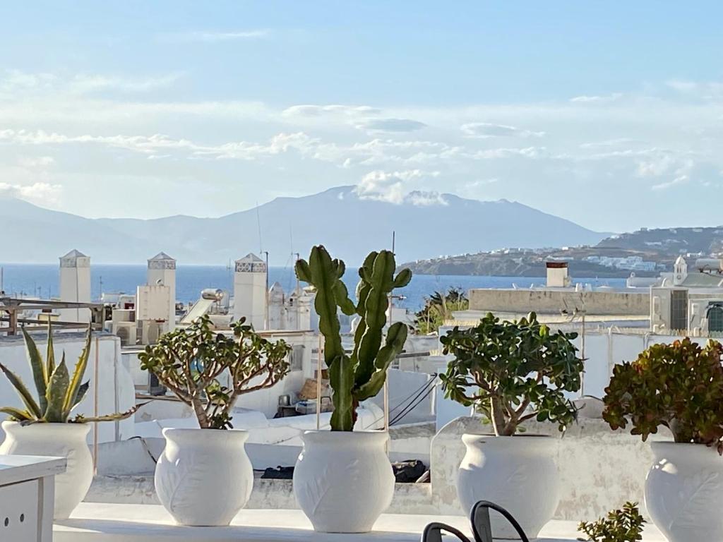 Elaia Luxury Suites Mykonos في مدينة ميكونوس: مجموعة من الأواني البيضاء مع النباتات على السطح