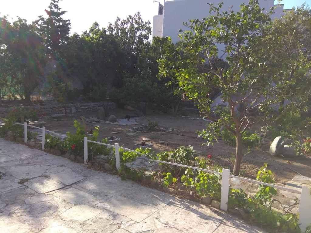 a fence with a tree in a garden at Alex Studios Tinos in Tinos