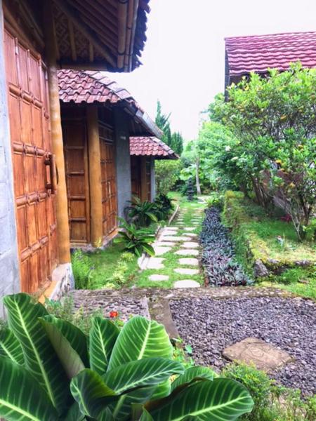 Zahrada ubytování Pondok Bamboo Sendangsari