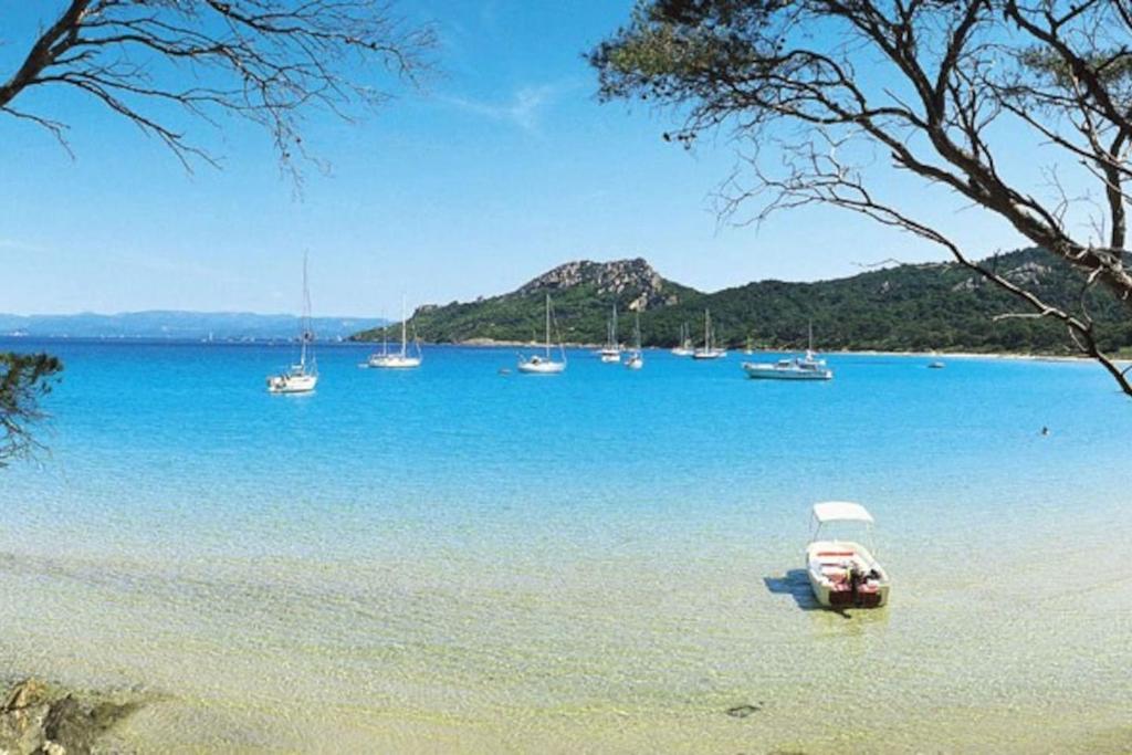 un grupo de barcos en un gran cuerpo de agua en Maison de pêcheur à Porquerolles, en Porquerolles