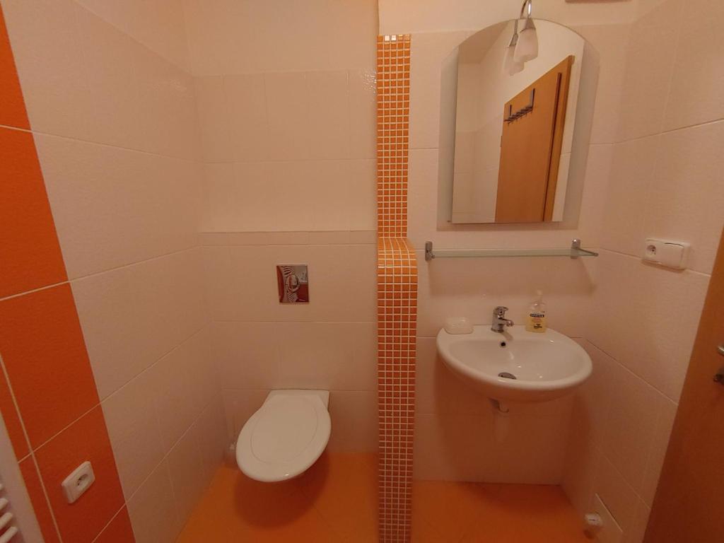 Fotografie z fotogalerie ubytování Horské apartmány Horní Lipová v Lipové-lázních