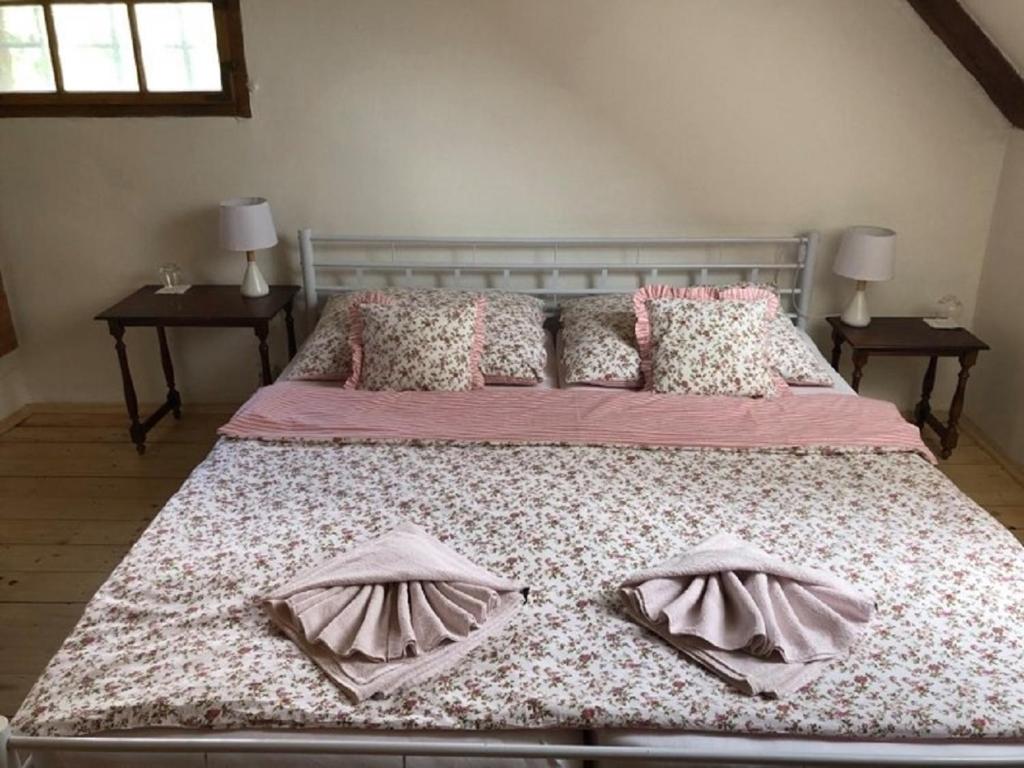 1 dormitorio con 1 cama grande con 2 almohadas en Schwarzenberský panský dvůr, en Čimelice