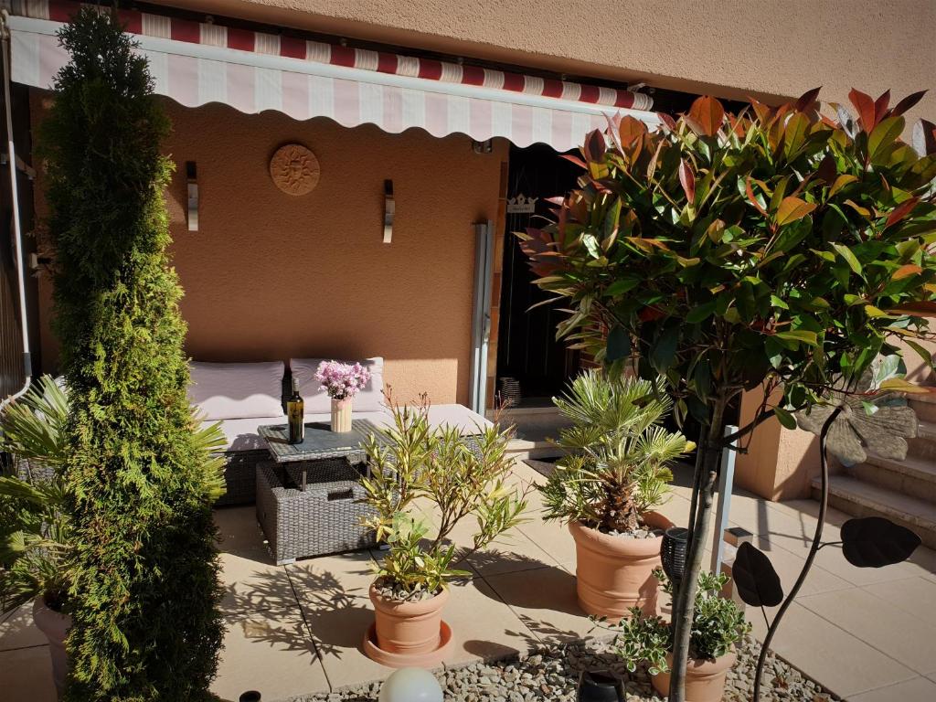 a group of potted plants on a patio at Fewo Purper in Frauenberg