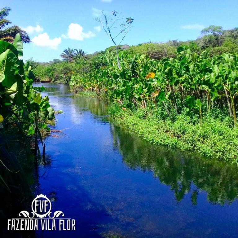  Fazenda Vila Flor