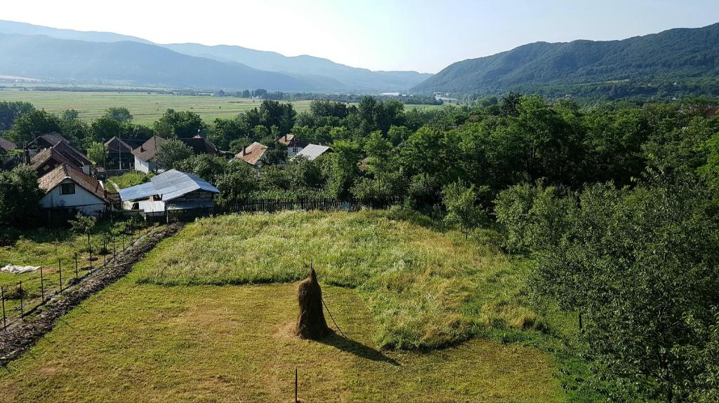 uma vista aérea de um campo com casas e árvores em Pensiunea Adeluta Apartament em Călimăneşti