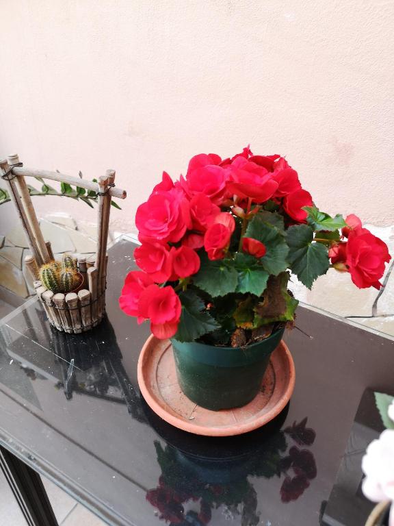 Kép B&B Casa Valeria szállásáról Cataniában a galériában