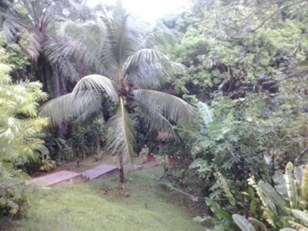 Refúgio da natureza em Morro de São Paulo