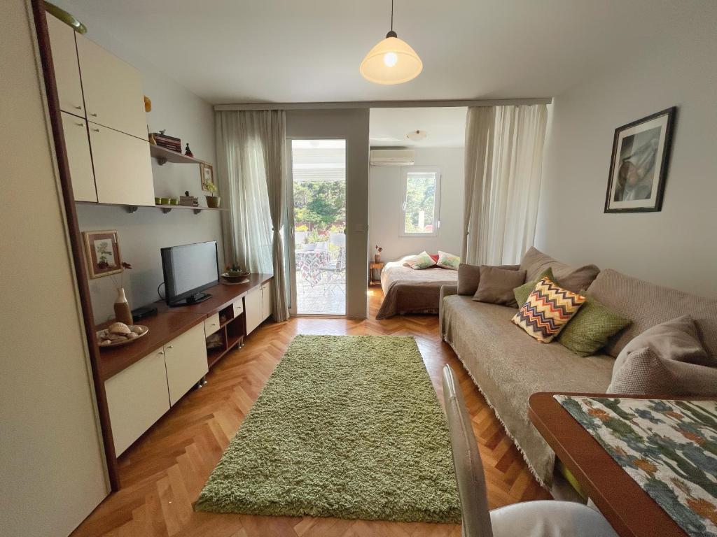 een woonkamer met een bank en een tv bij Studio Apartment Irena in Sutomore