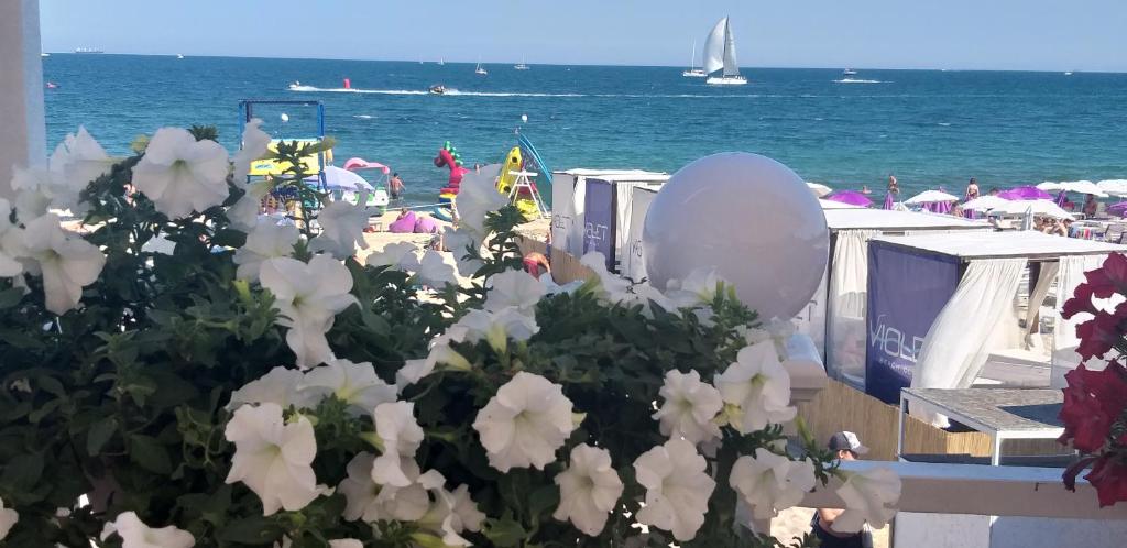 Nespecifikovaný výhled na moře nebo výhled na moře při pohledu z hotelu