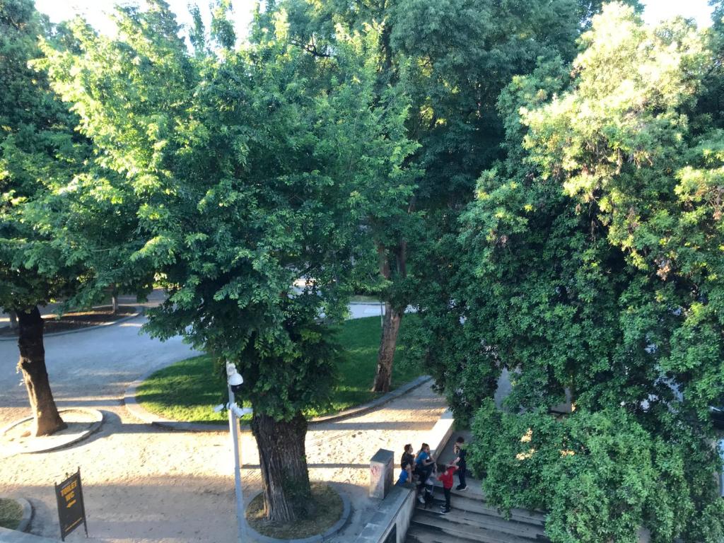 Central Park Residence - 12