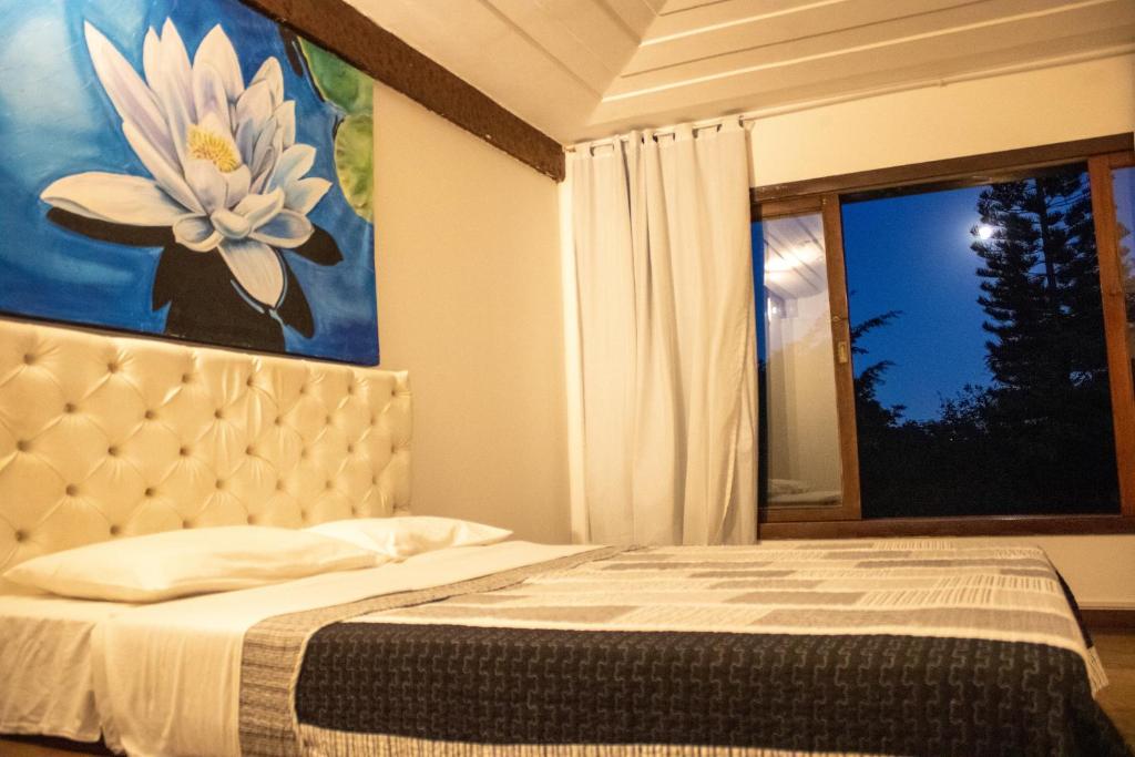 The Eco Palace Hostel - Superior With Garden View