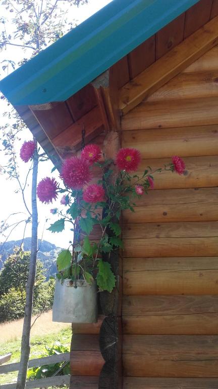 Zahrada ubytování Raković Katun - Biogradska gora accomodation