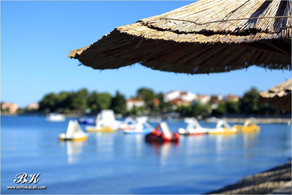 Príroda v okolí apartmánu