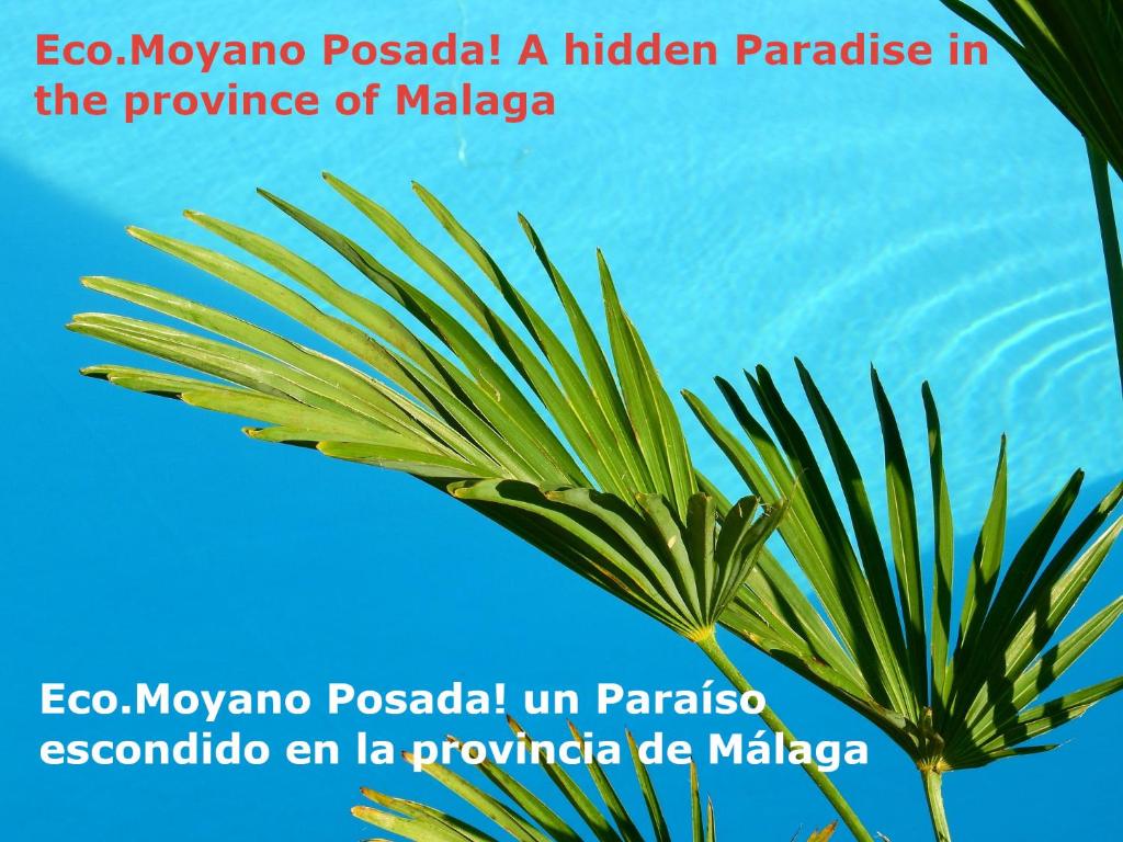 Eco Moyano Posada, Gaucín – Bijgewerkte prijzen 2022