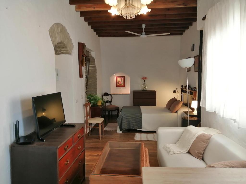 TV a/nebo společenská místnost v ubytování La Guarida de Vejer Casa Rural