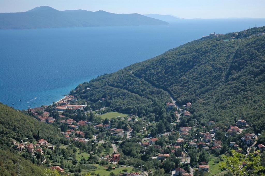 Vue aérienne d'une petite ville sur une montagne dans l'établissement Apartment in Mošcenicka Draga with sea view, balcony, air conditioning, Wi-Fi (4772-1), à Mošćenička Draga