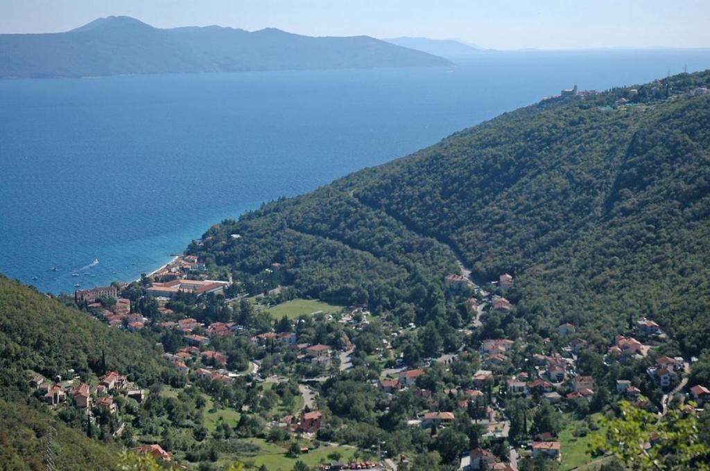 eine Luftansicht einer Kleinstadt auf einem Berg in der Unterkunft Apartment in Mošcenicka Draga with sea view, balcony, air conditioning, Wi-Fi (4772-1) in Mošćenička Draga