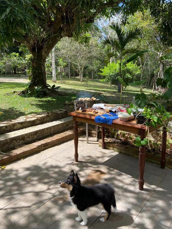  Casa secular no município de Mulungu