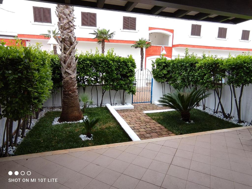 a courtyard with a palm tree and a white building at Villetta Residence Chiusurelle in Porto Cesareo