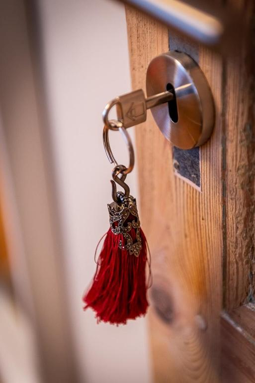 Fotografie z fotogalerie ubytování Adamas B&B v destinaci Dendermonde