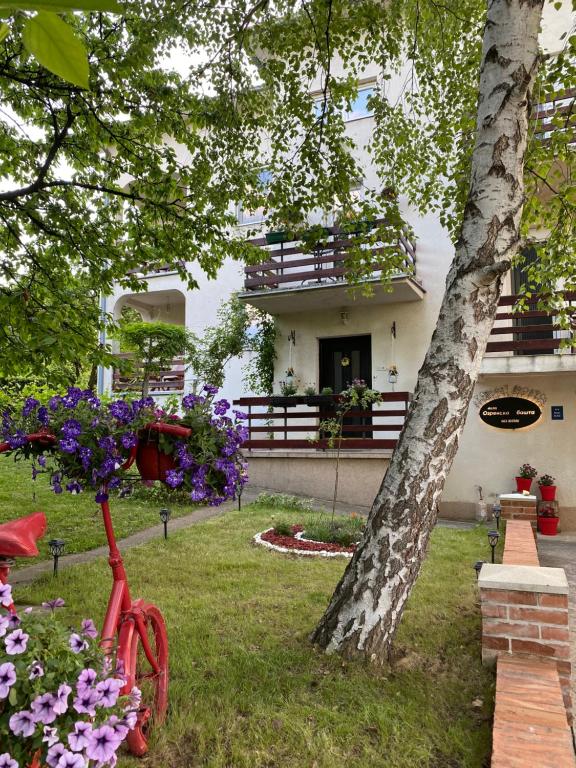 Zahrada ubytování Ozrenska bašta apartmani