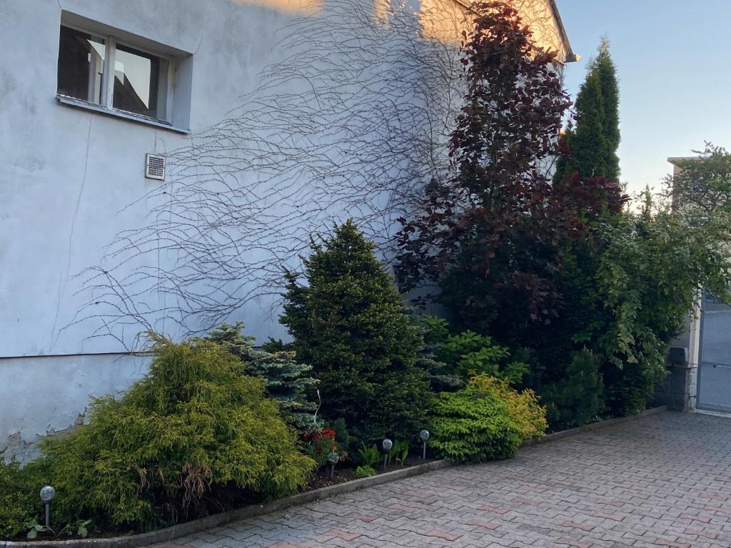 Giardino di Ubytování U Synagogy Dobříš