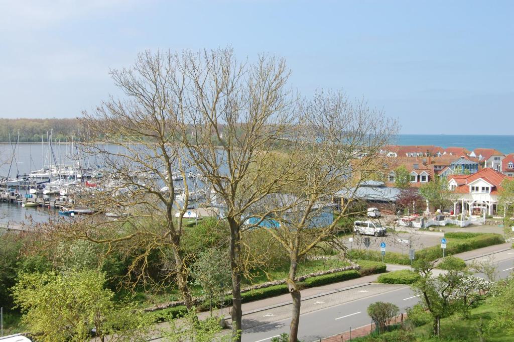 Blick auf einen Fluss und eine Straße mit Bäumen in der Unterkunft Ferienwohnung mit Ostseeblick in Rerik in Rerik