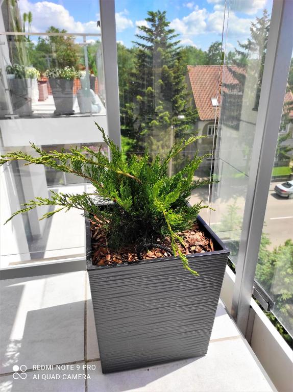 Vonkajšia záhrada v ubytovaní VIEW 20 APARTAMENT