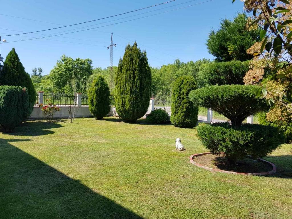 Zahrada ubytování Studio Apartments Domenik
