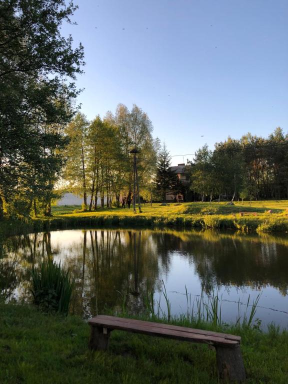 a bench sitting in front of a pond at Siedlisko Besarabka in Czernikowo