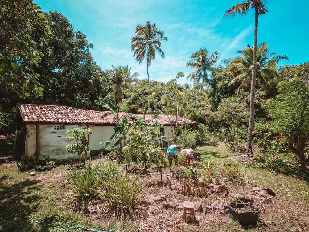  Jungle House Pipa