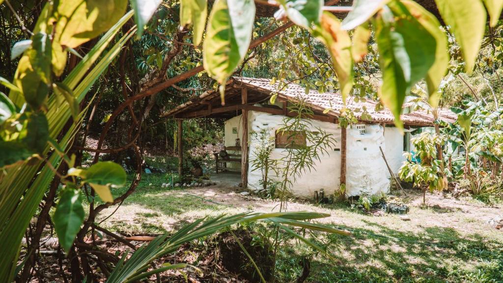  Jungle House Pipa