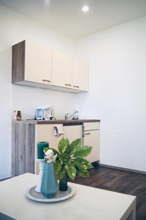 Kuchyň nebo kuchyňský kout v ubytování Beautiful Apartment 3 City Center