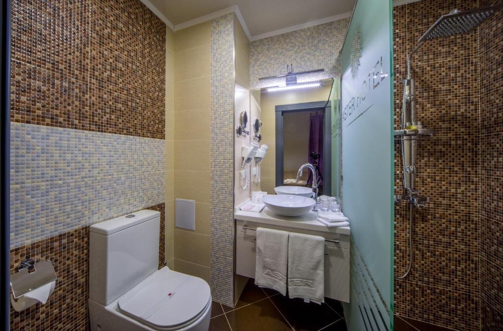Aster Hotel Group - Superior King Room