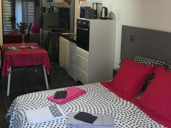 Résidence Les Alizés ''Sauna Jacuzzi Piscine en plein centre ville