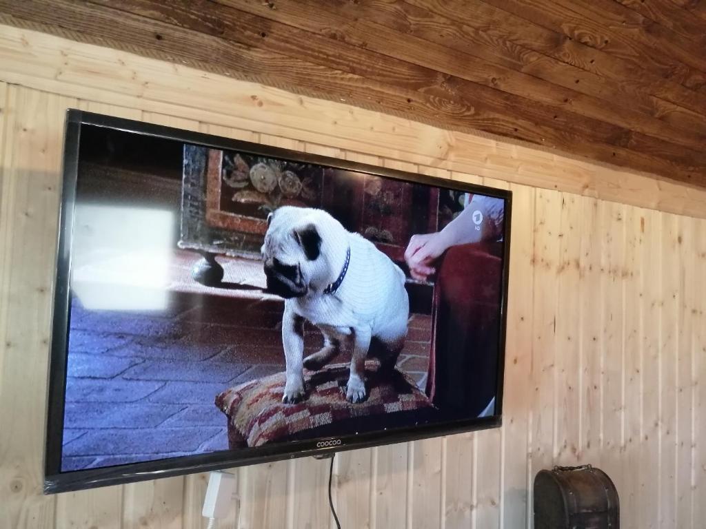 Ein Fernseher hängt an einer Wand mit einem Hund drauf. in der Unterkunft Schäferwagen Grünspecht in Ratingen