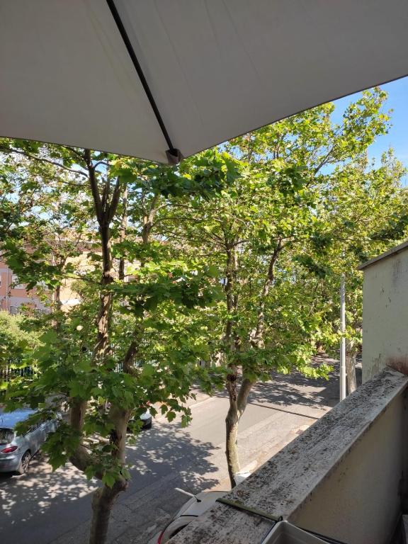 A garden outside Casa del Mare