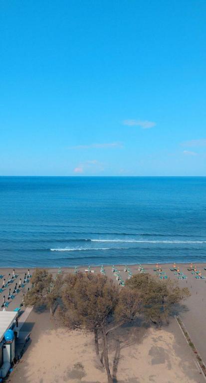 a beach with a lot of birds on it at HOTEL BAR RESTORANT YLLI in Shëngjin