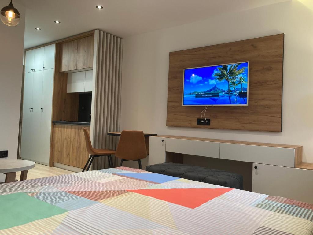 TV a/nebo společenská místnost v ubytování Vip Apartments Kopaonik