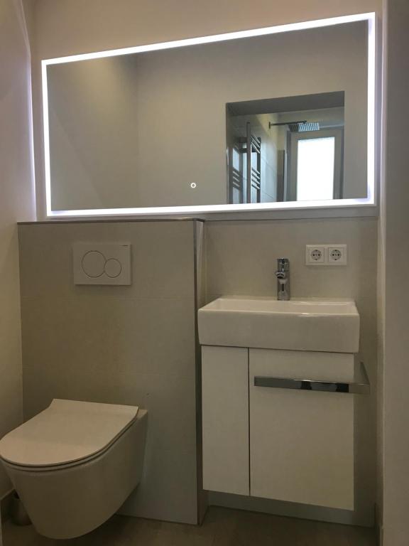 bagno con servizi igienici, lavandino e specchio di Ferienwohnung Dublin ad Hannover