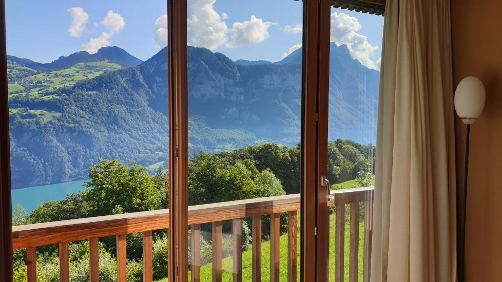Příroda nedaleko hotelu